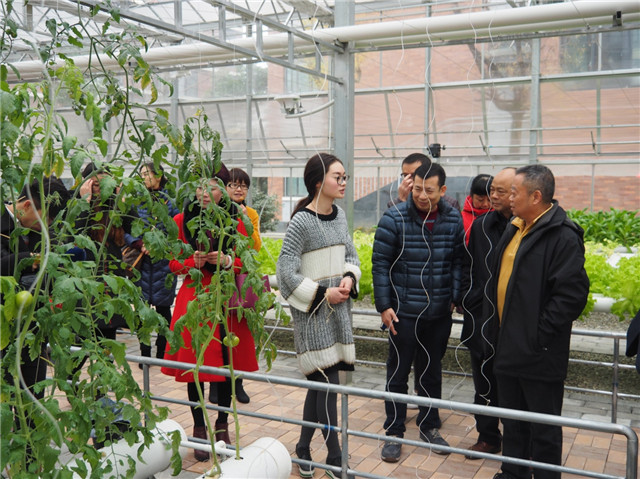 走進(jìn)東辰、多方共融、攜手共進(jìn)