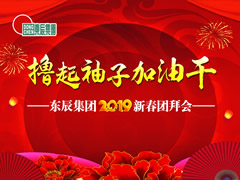 東辰集團(tuán)2019新春團(tuán)拜會網(wǎng)絡(luò)直播