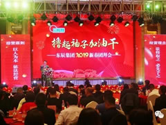 擼起袖子加油干——東辰集團(tuán)2019新春團(tuán)拜會