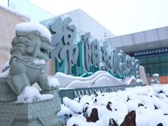 這里，粉妝玉砌，玉樹瓊枝，還有天真爛漫的東辰學(xué)子！