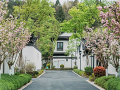 仙海院子 | 自然洗禮，院見芳華